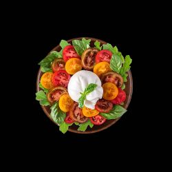 Burrata